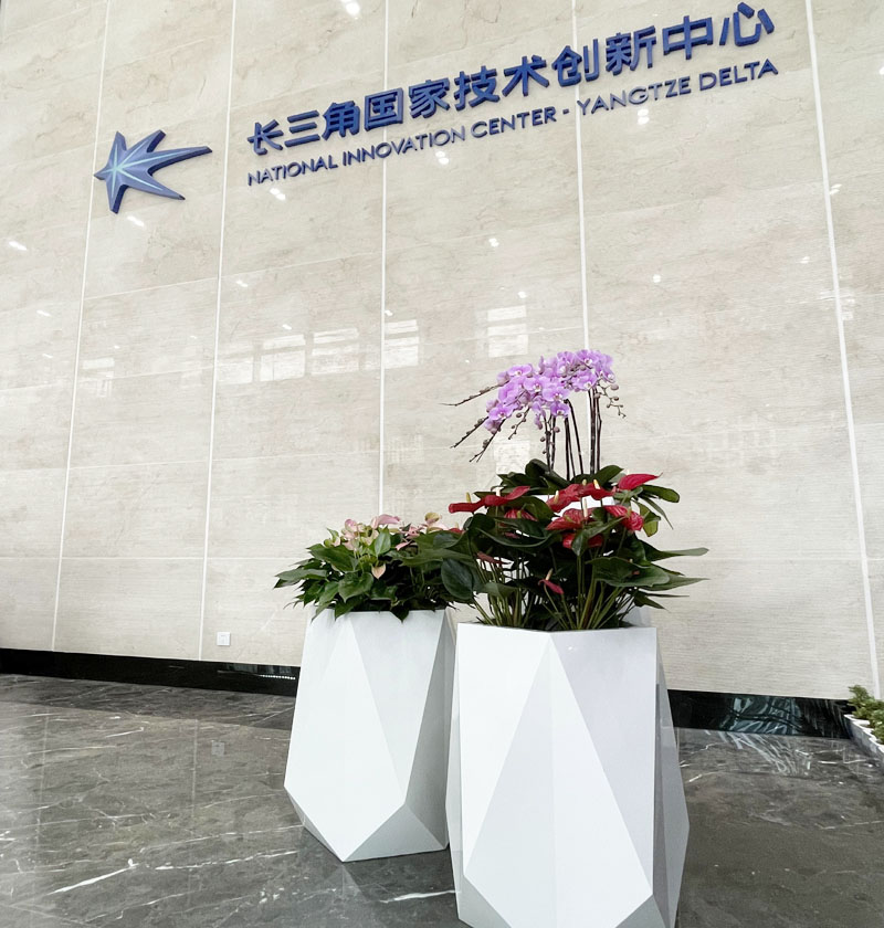 長三角研究院辦公樓綠植租賃